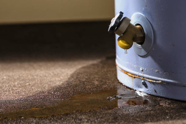 Best 24-hour water damage restoration  in Crawford, GA