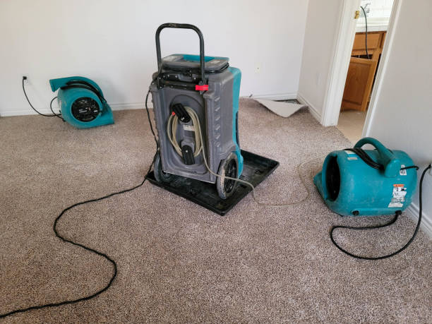 Best Sewage cleanup and water damage restoration  in Crawford, GA