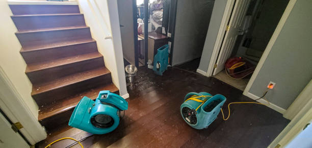 Best Carpet water damage restoration  in Crawford, GA