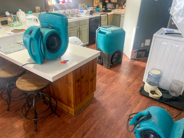Best Water damage restoration company  in Crawford, GA