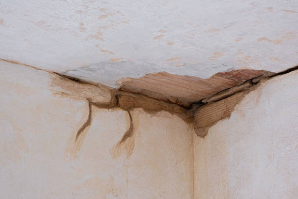 Best Flood damage cleanup  in Crawford, GA