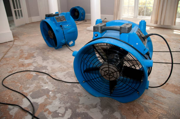 Best Flooded house restoration  in Crawford, GA