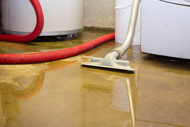 Best Water damage restoration near me  in Crawford, GA
