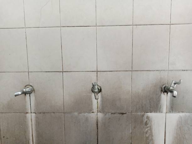 Best Local water damage restoration  in Crawford, GA