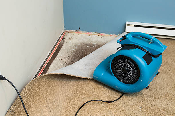 Best Water damage restoration near me  in Crawford, GA